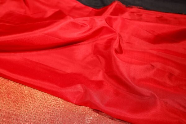 Black With Red Bentex Border - Pure Kanchipuram Silk Saree - Image 4
