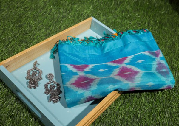 Orange With Blue Border - Pochampalli Soft Silk Saree