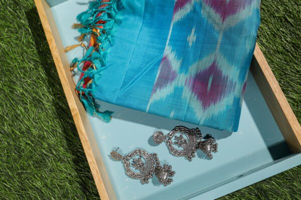 Orange With Blue Border - Pochampalli Soft Silk Saree - Image 13