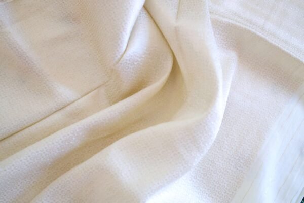 Off White Tassar Silk With  Meenakari Border - Image 2